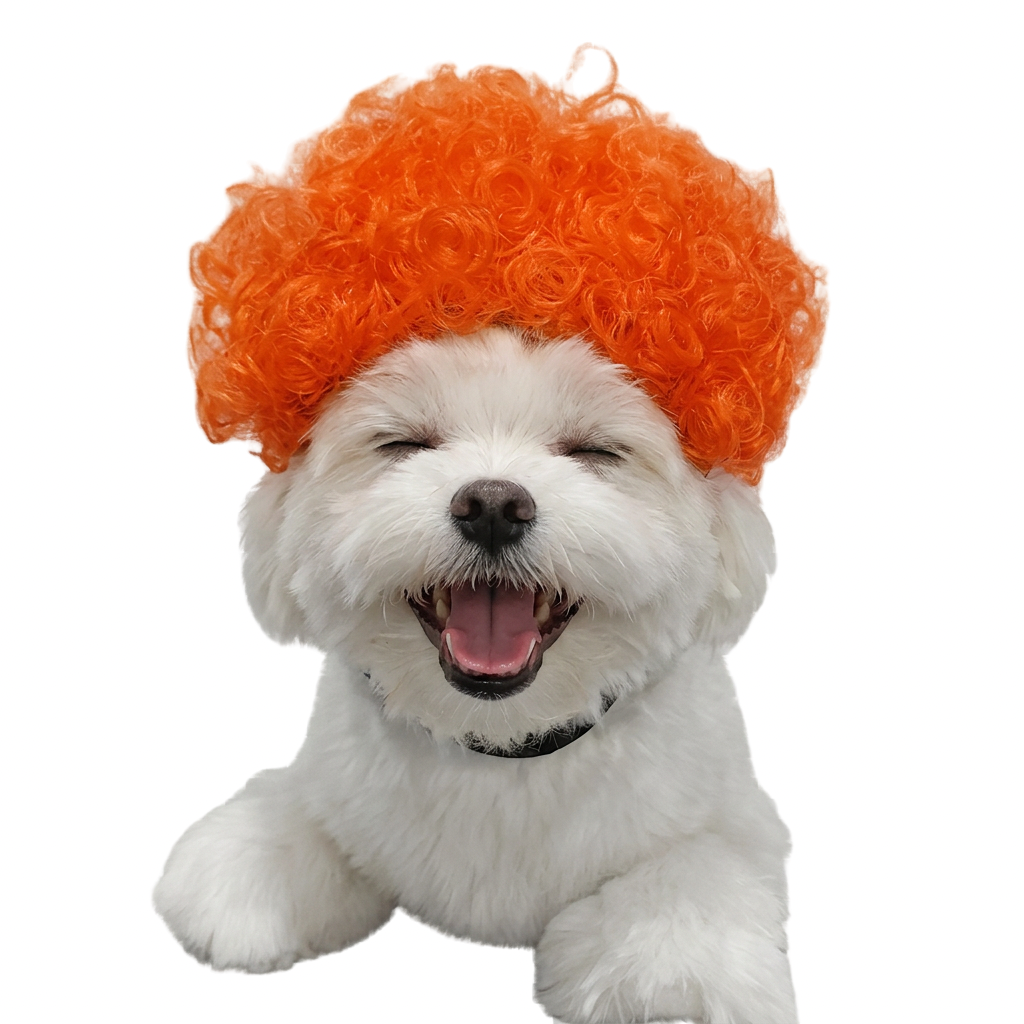 Curly Orange Wig for Dogs - Funny Pet Costume Wig