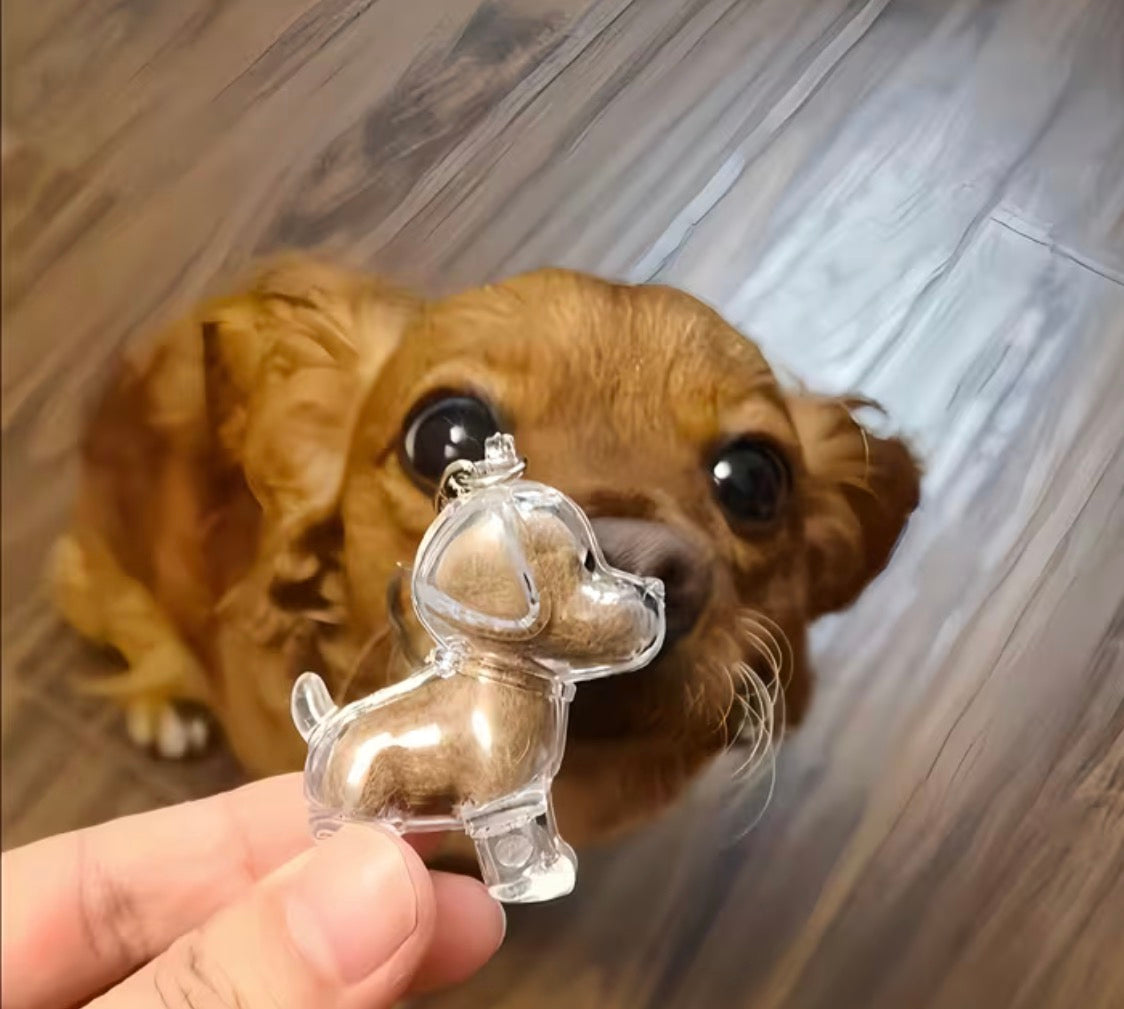 Pet accessories 