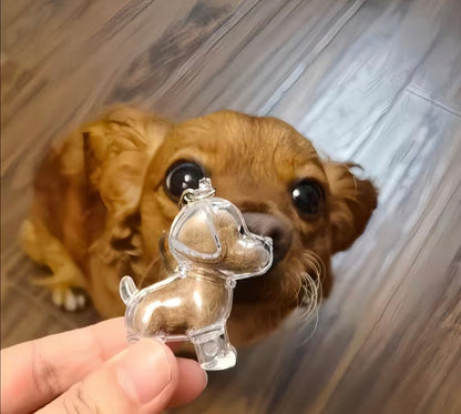 Pet accessories 