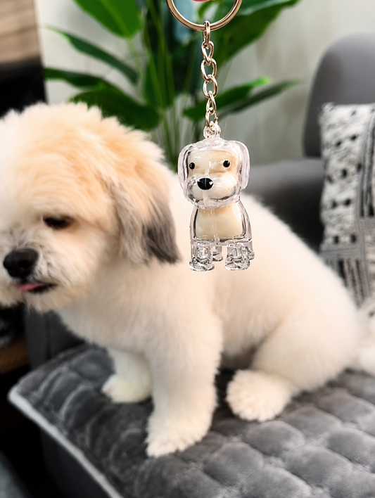Keep a special reminder of your pet with this Pet Fur keepsake keychain.