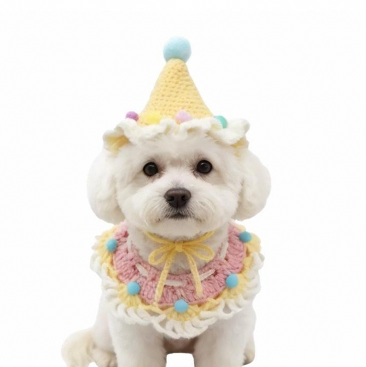 Pastel Party Hat and Scarf and