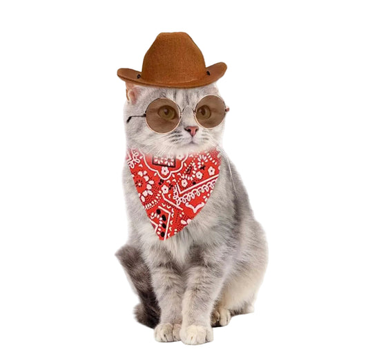 Turn your pet into the cutest little cowboy with this fun and stylish western-inspired costume accessory set. Designed for cats and small dogs, the set combines a soft brown cowboy hat, round tinted sunglasses, and a vibrant red paisley bandana for an instantly eye-catching look.
