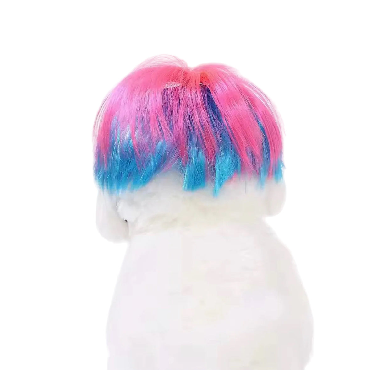 Blue Wig for Dogs