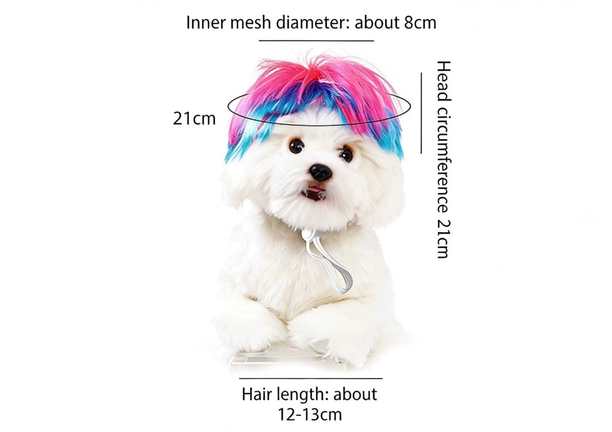 Blue Wig for Dogs