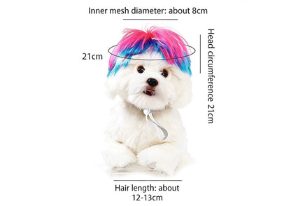 Blue Wig for Dogs