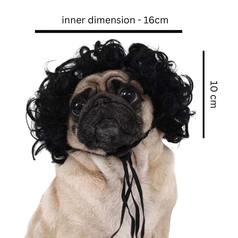 Black curly afro wig for dogs 