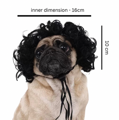 Black curly afro wig for dogs 