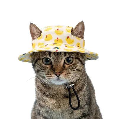 cat wearing a yellow duck-print bucket hat with a black chin strap, photographed against a solid white background.