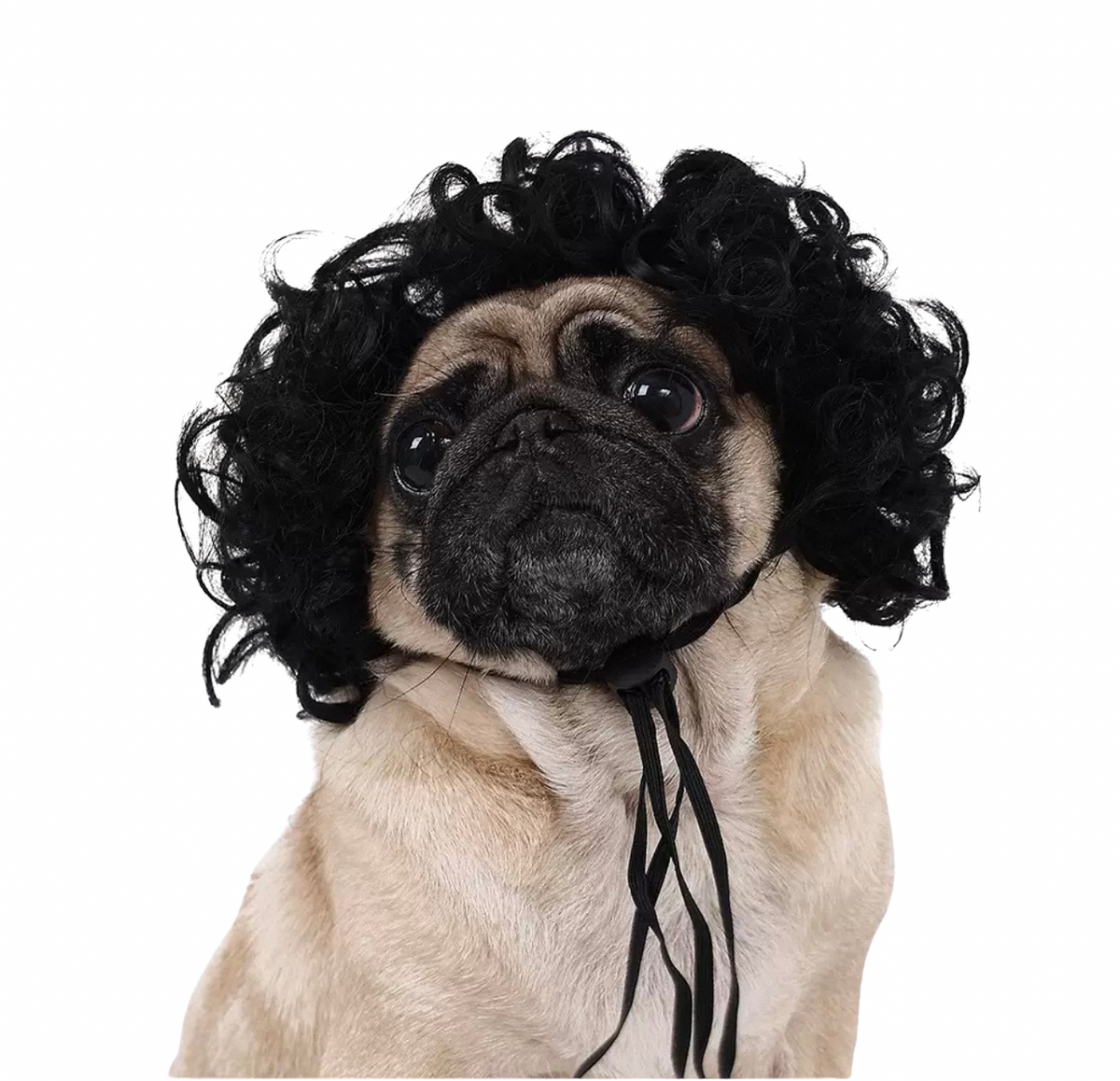 Black curly afro wig for dog, a hilarious, comfortable costume accessory perfect for parties, photos & holidays.