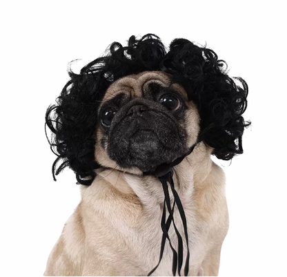 Black curly afro wig for dog, a hilarious, comfortable costume accessory perfect for parties, photos & holidays.