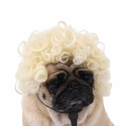 Blonde Curly Wig for Dogs - Funny Pet Costume Wig on a pug, showcasing its adorable curls.