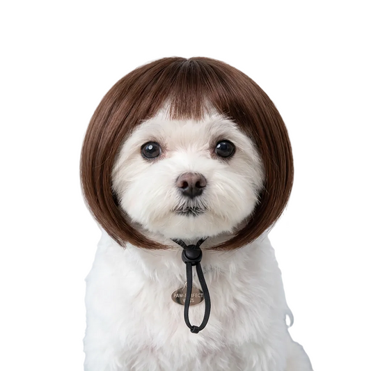 Brown Bob Wig for Dogs