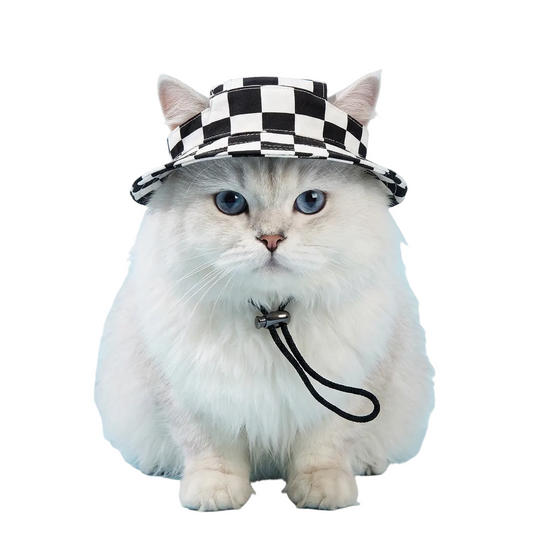 Checkered Bucket Hat for Cats - Black and White print on a fluffy cat with blue eyes.