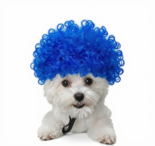 Curly Blue Wig for Dogs - Funny Pet Costume Wig