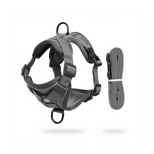 Grey Cat Harness and Leash Set