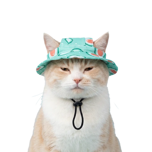 A white cat wearing a mint green bucket hat with avocado pattern, set against a solid light blue background.