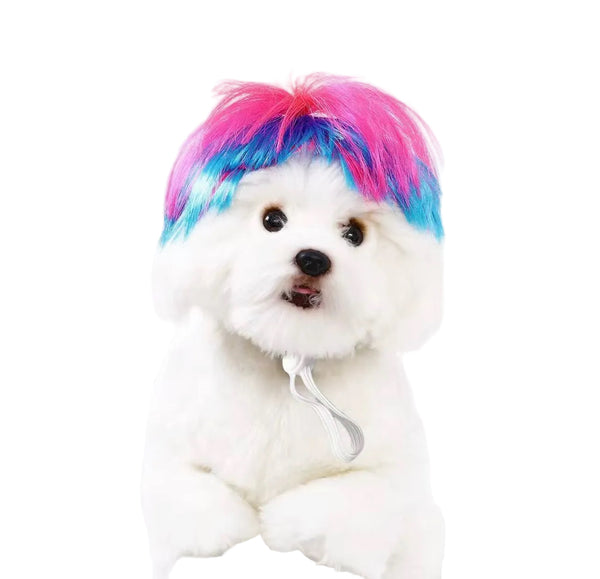Blue Wig for Dogs.