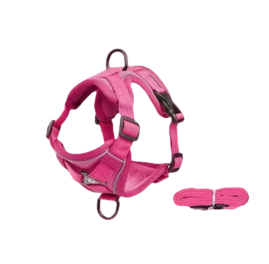 Pink Cat Harness and Leash Set