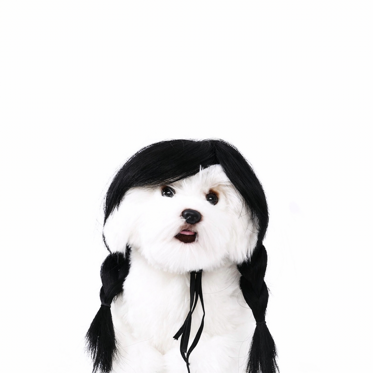 Ponytail Wig for Dogs