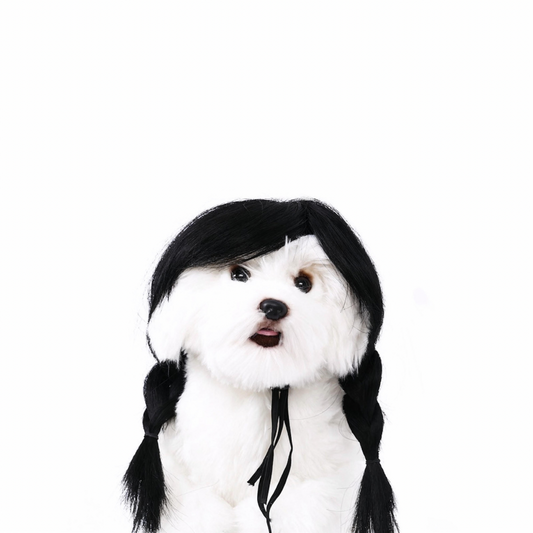 Ponytail Wig for Dogs